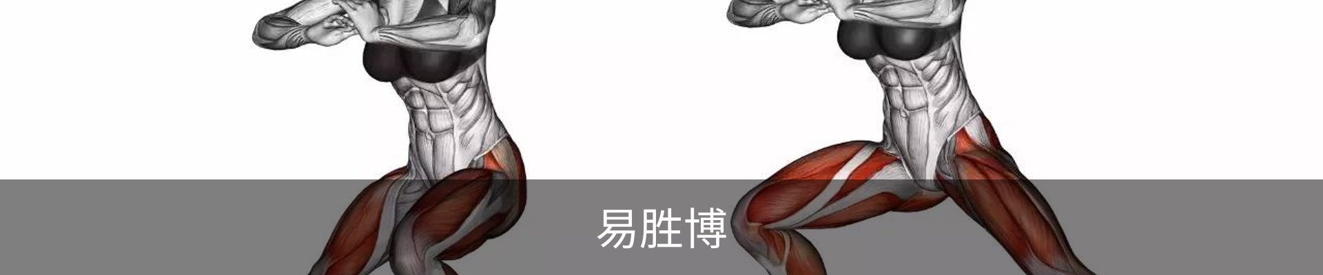 易胜博